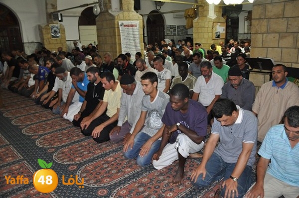 trawe7 7san bek 715 (28).JPG